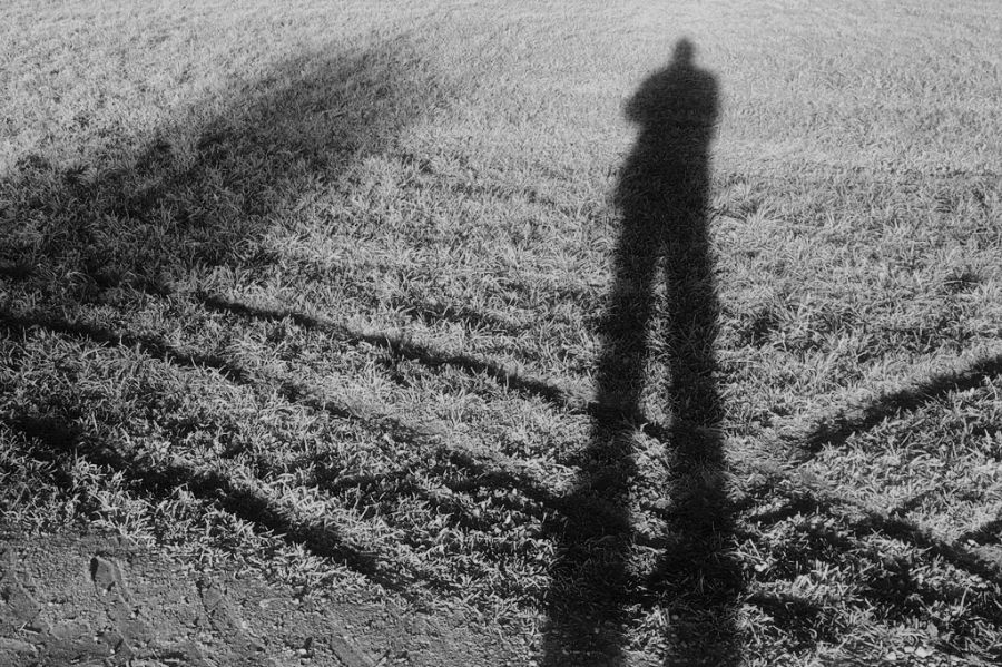 mennel und robert Frost the road less travelled by
